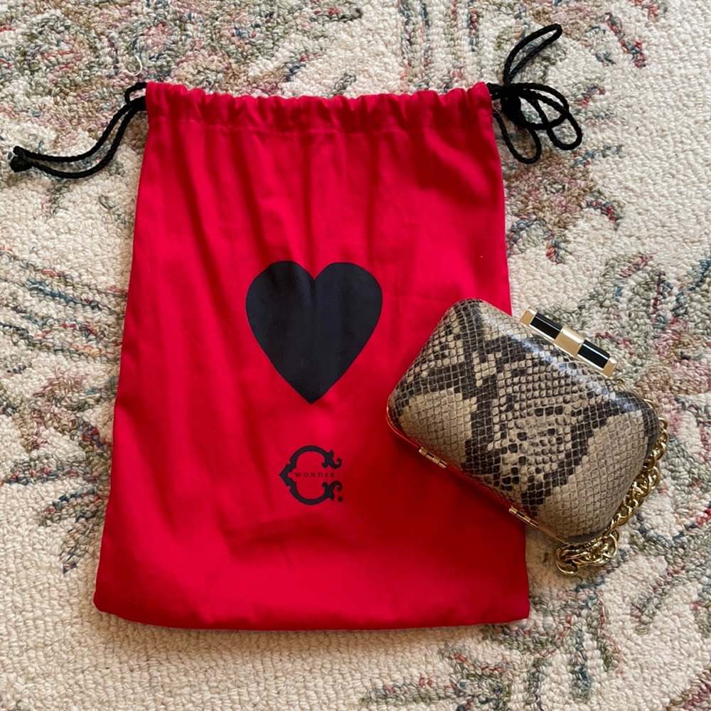 C. Wonder Mini Clutch